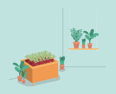 bitkiler vivaryum raf içinde