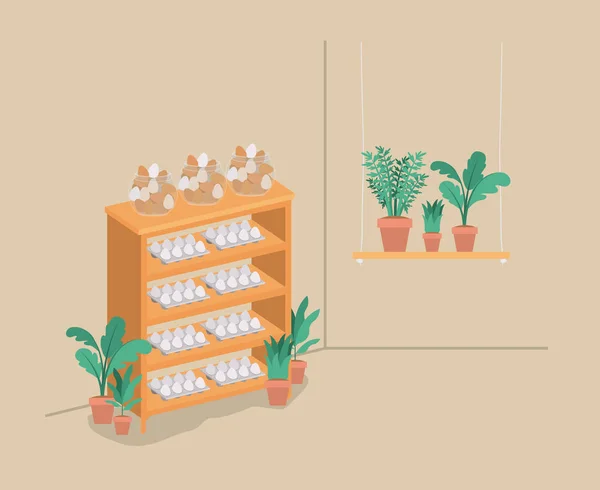 Plantas vivarium em prateleiras — Vetor de Stock