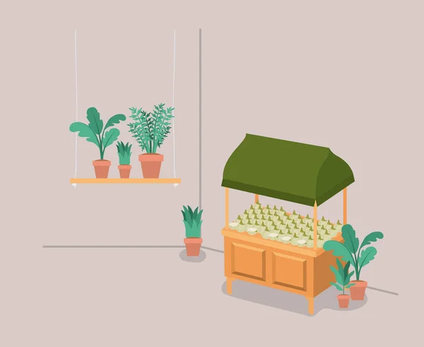 Plantas vivarium em quiosque — Vetor de Stock