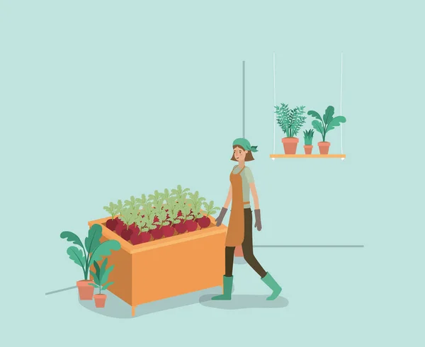 Femme avec plantes vivarium dans les étagères — Image vectorielle
