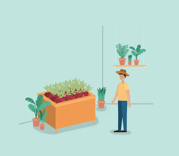 Homem Com Plantas Vivarium Desenho Ilustração Vetorial Estantes — Vetor de Stock