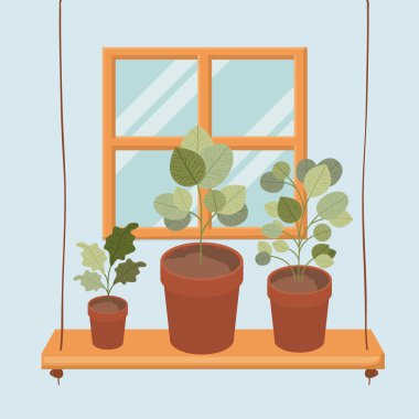 houseplants tencere ile salıncak