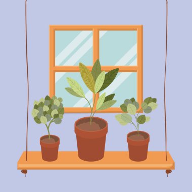 houseplants tencere ile salıncak