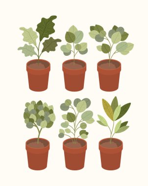 houseplants izole Icons set