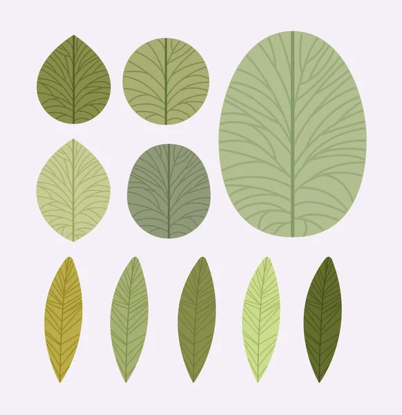 Conjunto de plantas de hojas — Vector de stock