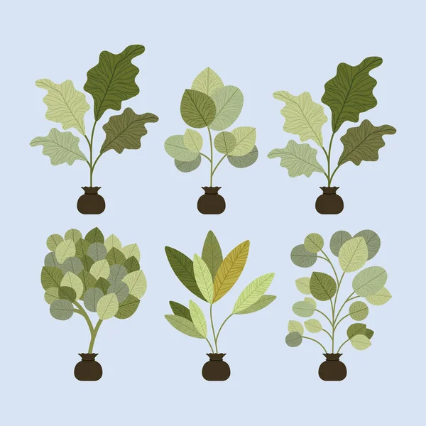 Plantar árboles plantas cultivadas en sacos — Vector de stock