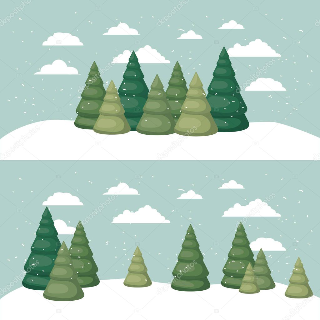 snowscape with pines scene