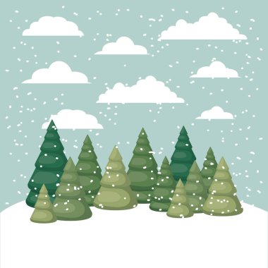 çam ağaçları orman sahne ile çimen