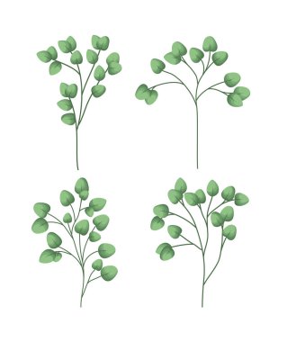 defne kümesi yapraklar