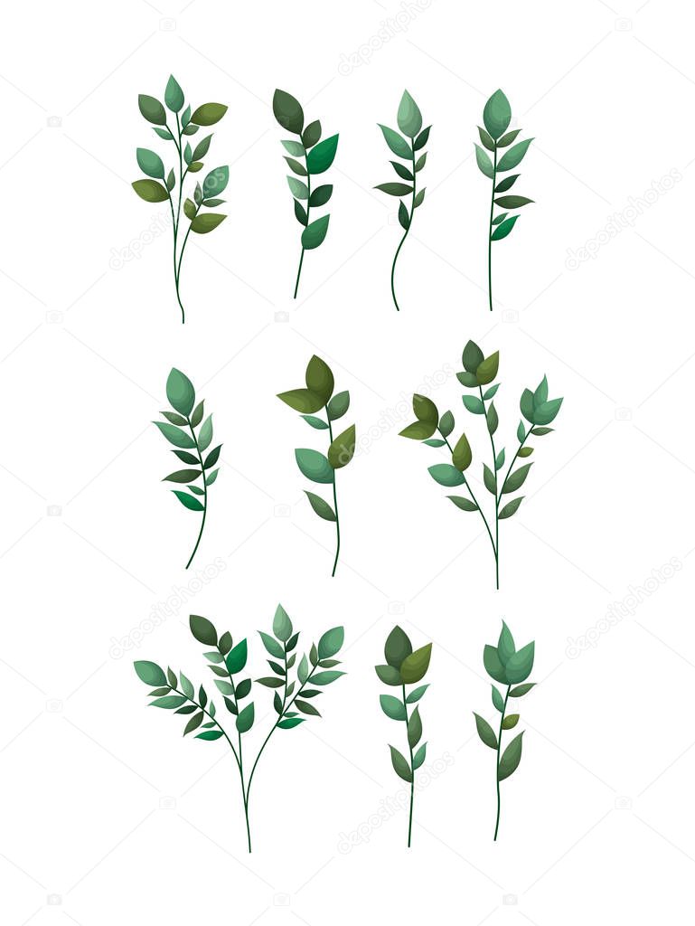 set of laurel leafs