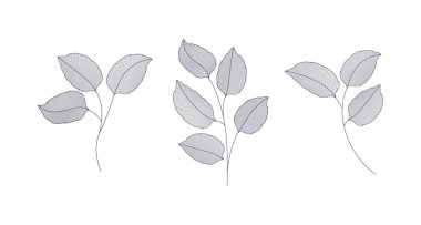 vektör çizim tasarım kümesi tek renkli defne yaprakları
