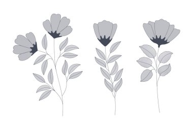 tek renkli çiçekler kümesi