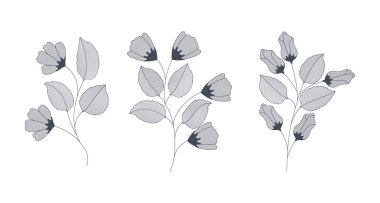 tek renkli çiçekler kümesi