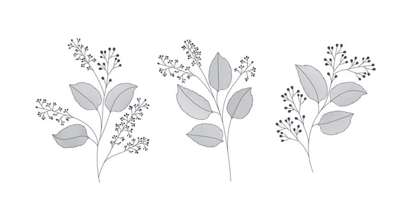 Conjunto de hojas de laurel monocromo — Archivo Imágenes Vectoriales