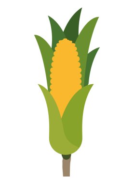 Tatlı Mısır izole simgesi