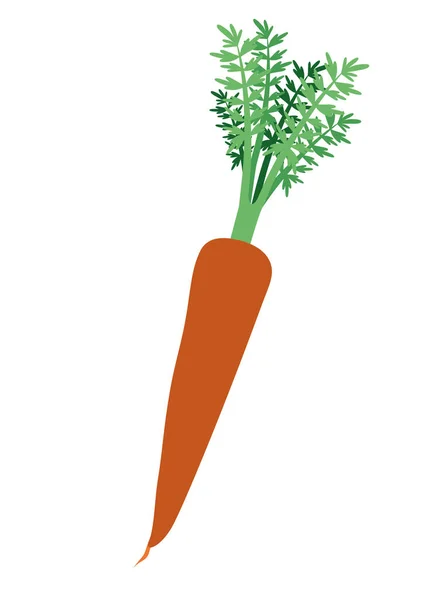 可爱的胡萝卜孤立的图标 — 图库矢量图片