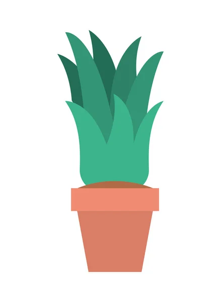 Planta de sala no ícone do pote — Vetor de Stock