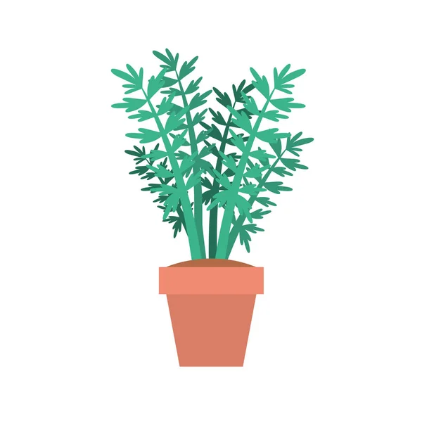 Φυτό εσωτερικού χώρου σε κατσαρόλα το εικονίδιο — Διανυσματικό Αρχείο