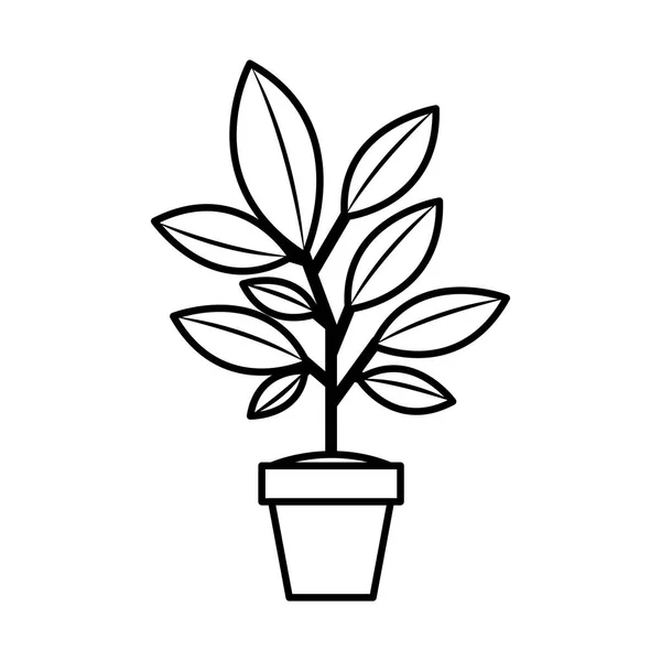 Домашнее растение в горшке — стоковый вектор
