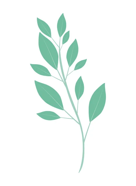 Schöne Blatt-Pflanze isoliert Symbol — Stockvektor