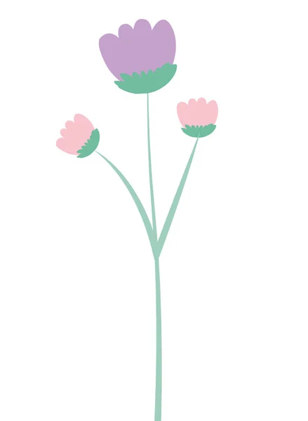 Beautiful flowers isolated icon — Stock Vector