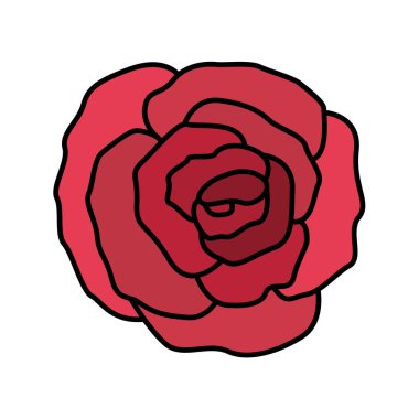 güzel gül izole simge
