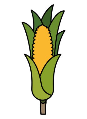 Tatlı Mısır izole simgesi