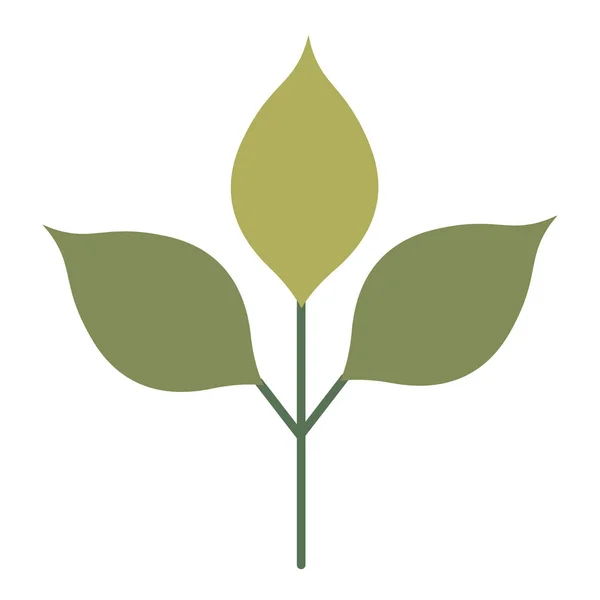 Rama con hojas icono aislado — Vector de stock