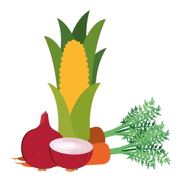 Krásné čerstvé zeleniny izolované ikona — Stockový vektor
