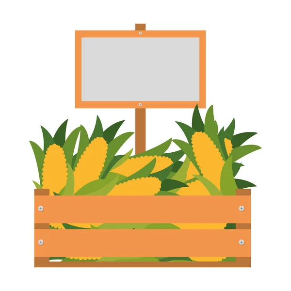 wooden box with sweet corn isolated icon