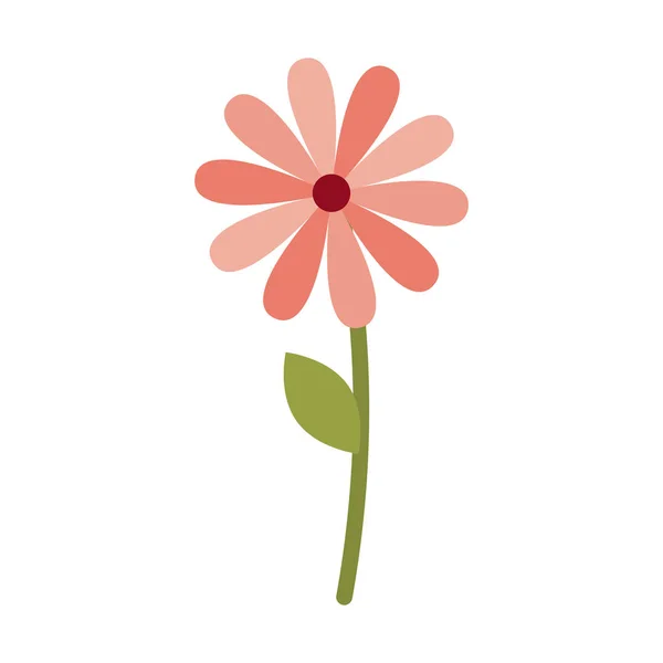 Krásný květ s listy izolované ikonu — Stockový vektor