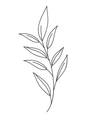 güzel yaprak bitki simgesi