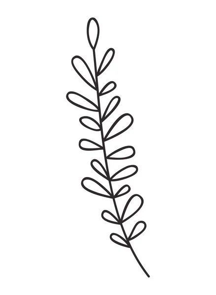 美しい葉植物アイコン — ストックベクタ