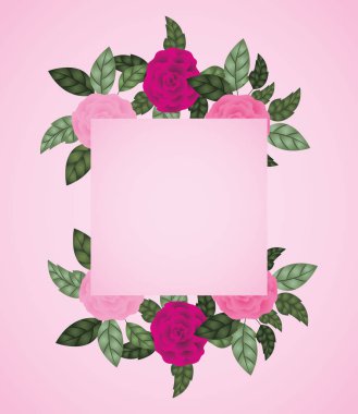 çiçek dekorasyon kare çerçeve