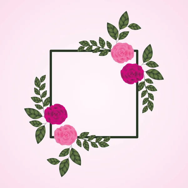 Flowers roses decoration square frame — Stock Vector