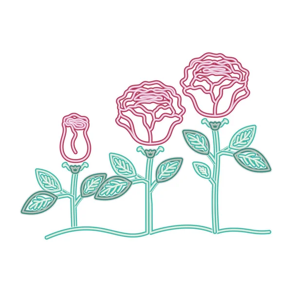 Bela rosa com folhas ícone isolado — Vetor de Stock