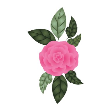 izole simgesi ile güzel gül yaprakları