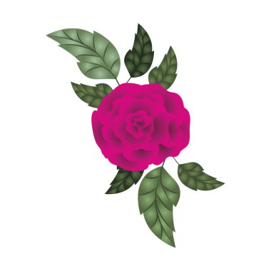 izole simgesi ile güzel gül yaprakları