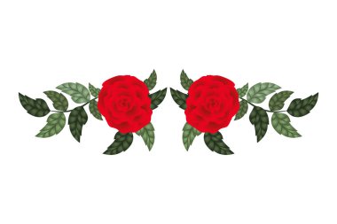 izole simgesi ile güzel gül yaprakları