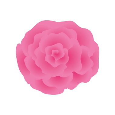 güzel gül izole simge