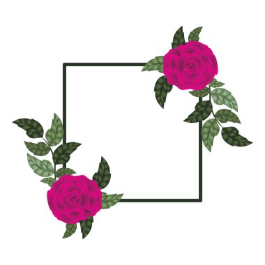 gül izole simgesi olan çerçeve