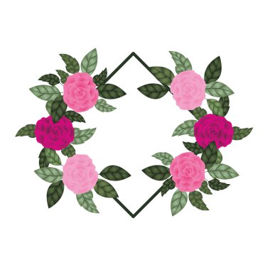 gül izole simgesi olan çerçeve