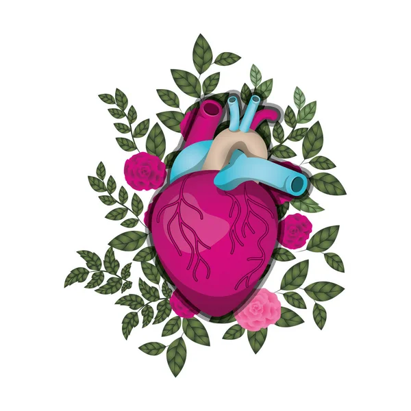 Hart met aderen en bloemen geïsoleerde pictogram — Stockvector