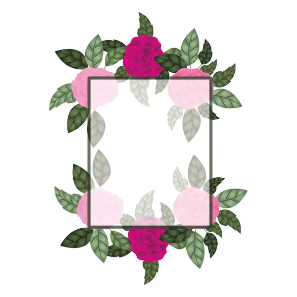 Рамка з ізольованою піктограмою троянди — стоковий вектор