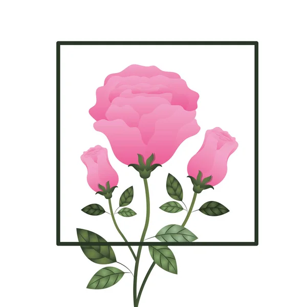 Frame with rose isolated icon — Stock Vector
