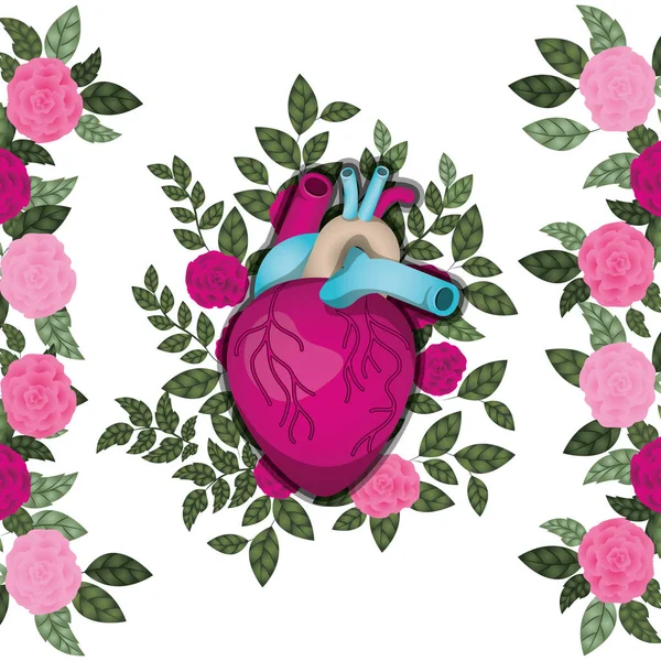 Heart with veins and roses isolated icon — Stock Vector