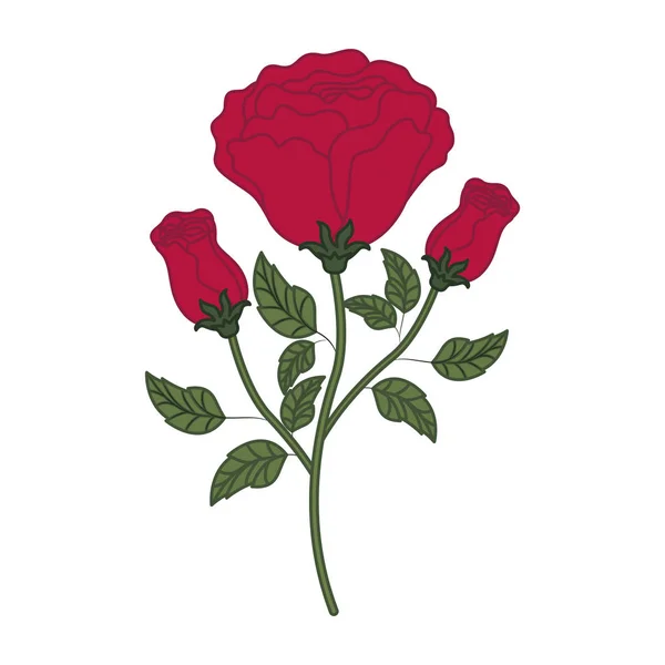 Όμορφα τριαντάφυλλα με φύλλα απομονωμένες εικονίδιο — Διανυσματικό Αρχείο