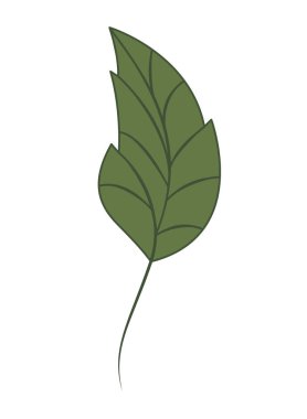 dal yaprak izole simgesiyle