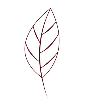 dal yaprak izole simgesiyle