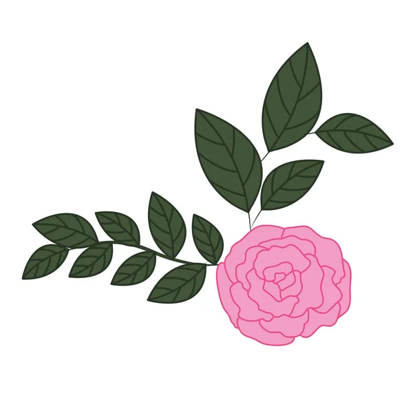 Mooi rose met blaadjes geïsoleerde pictogram — Stockvector